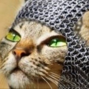 Meet your Posher, Maggie